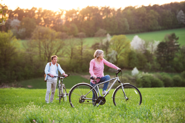 Beautiful senior couple outside in spring nature, walking with bicycles on grassland.