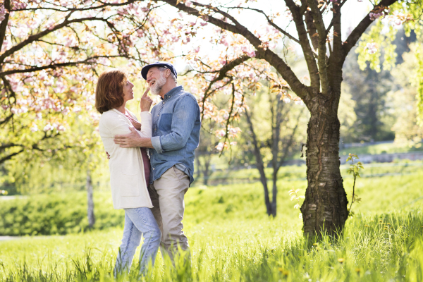 Beautiful senior couple in love on a walk outside in spring nature under blossoming trees, hugging.