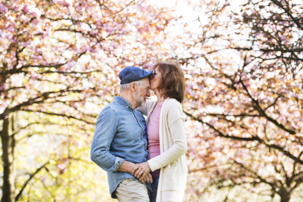 Beautiful senior couple in love on a walk outside, enjoying spring nature under blossoming trees. Man and woman hugging and kissing.