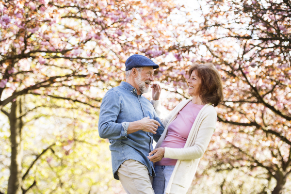 Beautiful senior couple in love on a walk outside, enjoying spring nature under blossoming trees. Man and woman having fun.