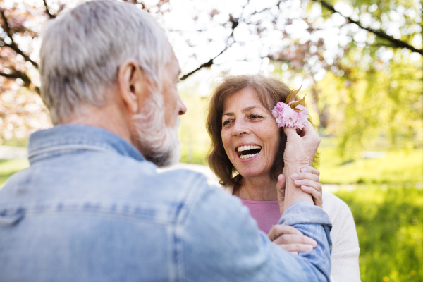 Beautiful senior couple in love outside in spring nature. Man giving woman tree flower into her hair.