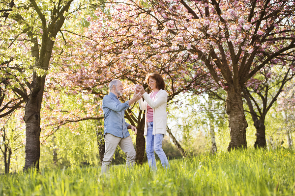 Beautiful senior couple in love on a walk outside, enjoying spring nature under blossoming trees. Man and woman having fun.