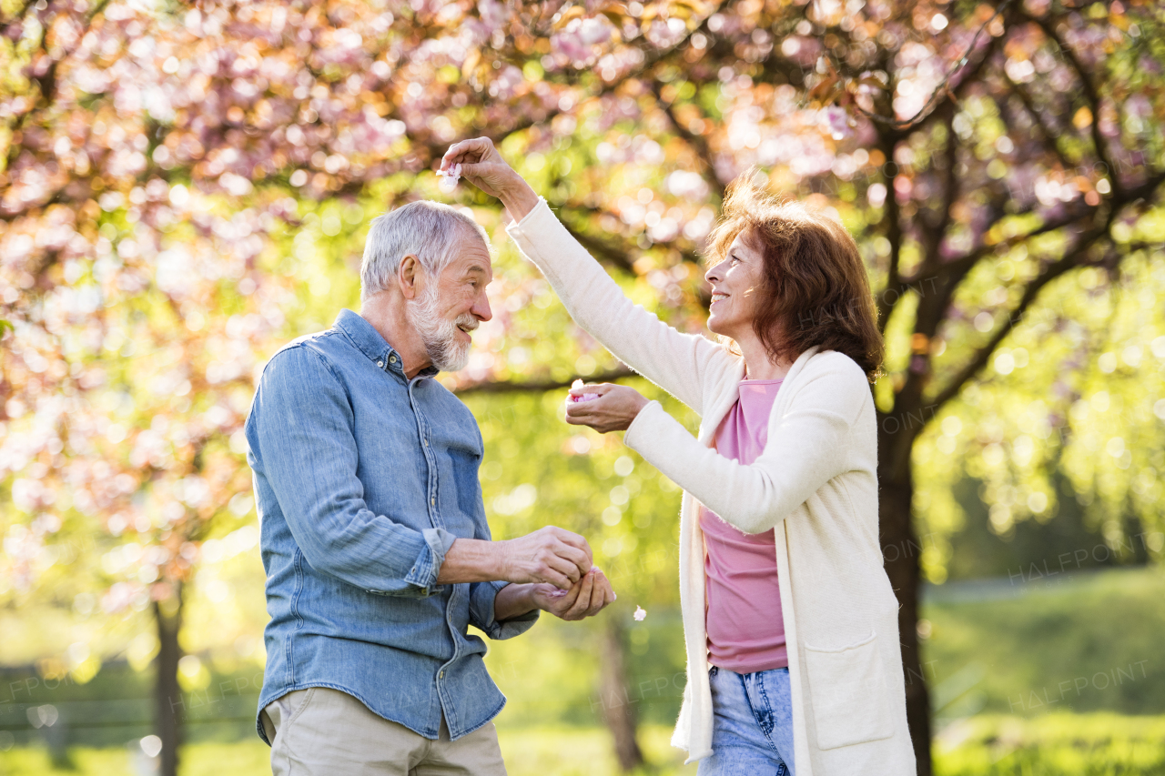 Beautiful senior couple in love on a walk outside, enjoying spring nature under blossoming trees. Man and woman having fun.