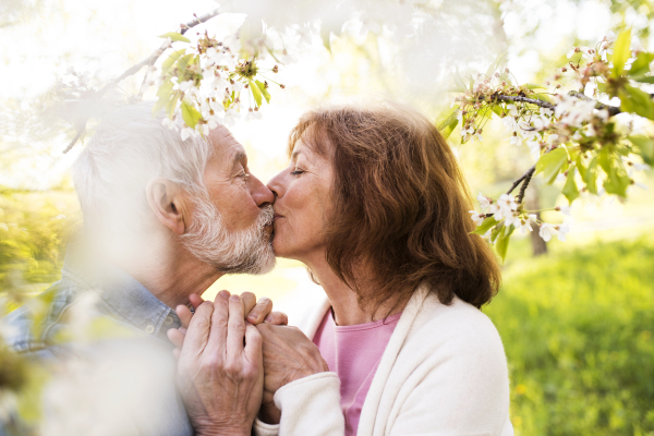 Beautiful senior couple in love kissing outside in spring nature.