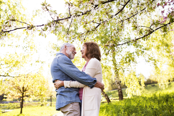 Beautiful senior couple in love on a walk outside, enjoying spring nature under blossoming trees. Man and woman having fun.