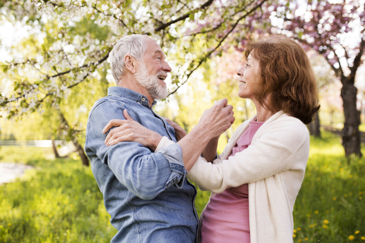 Beautiful senior couple in love on a walk outside, enjoying spring nature under blossoming trees. Man and woman having fun.