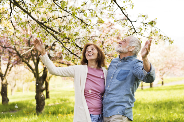 Beautiful senior couple in love on a walk outside in spring nature under blossoming trees.