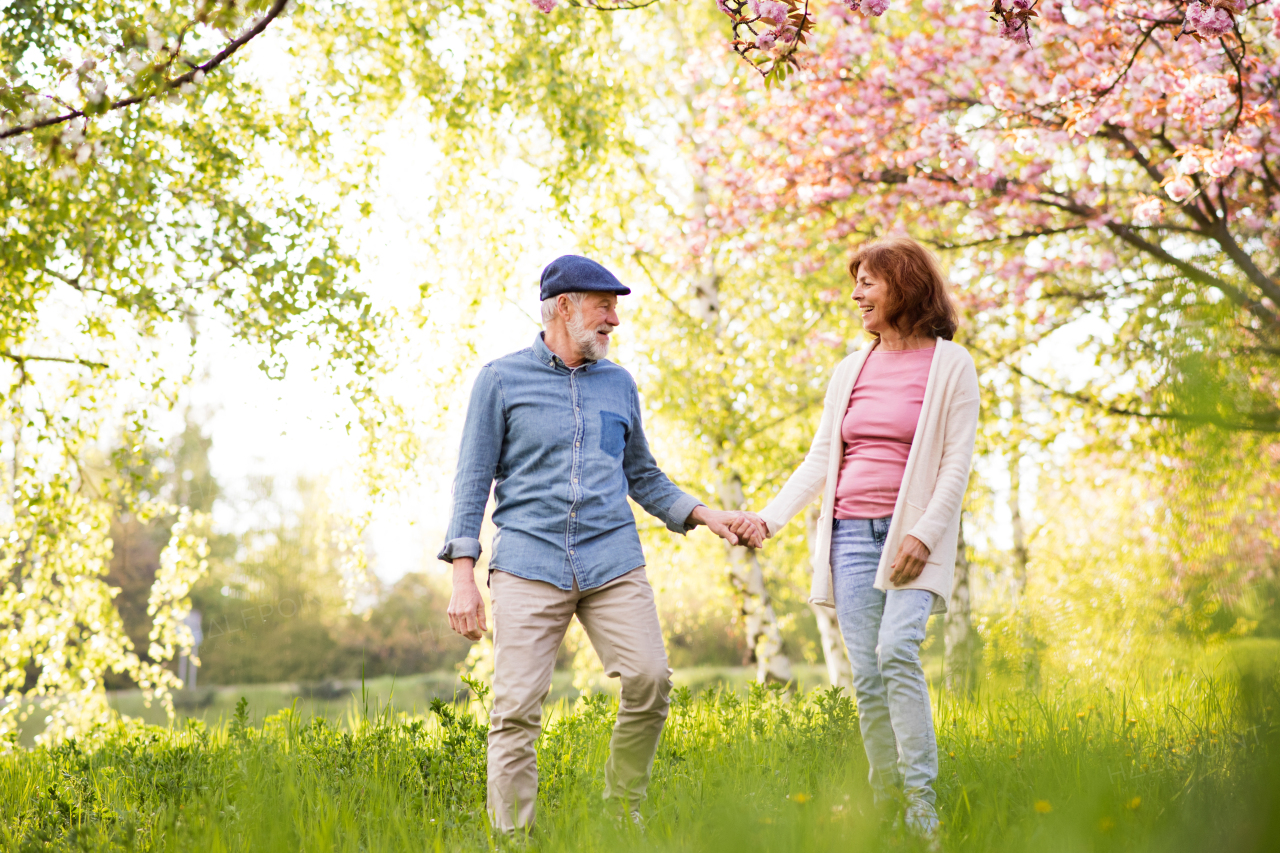 Beautiful senior couple in love on a walk outside in spring nature under blossoming trees.