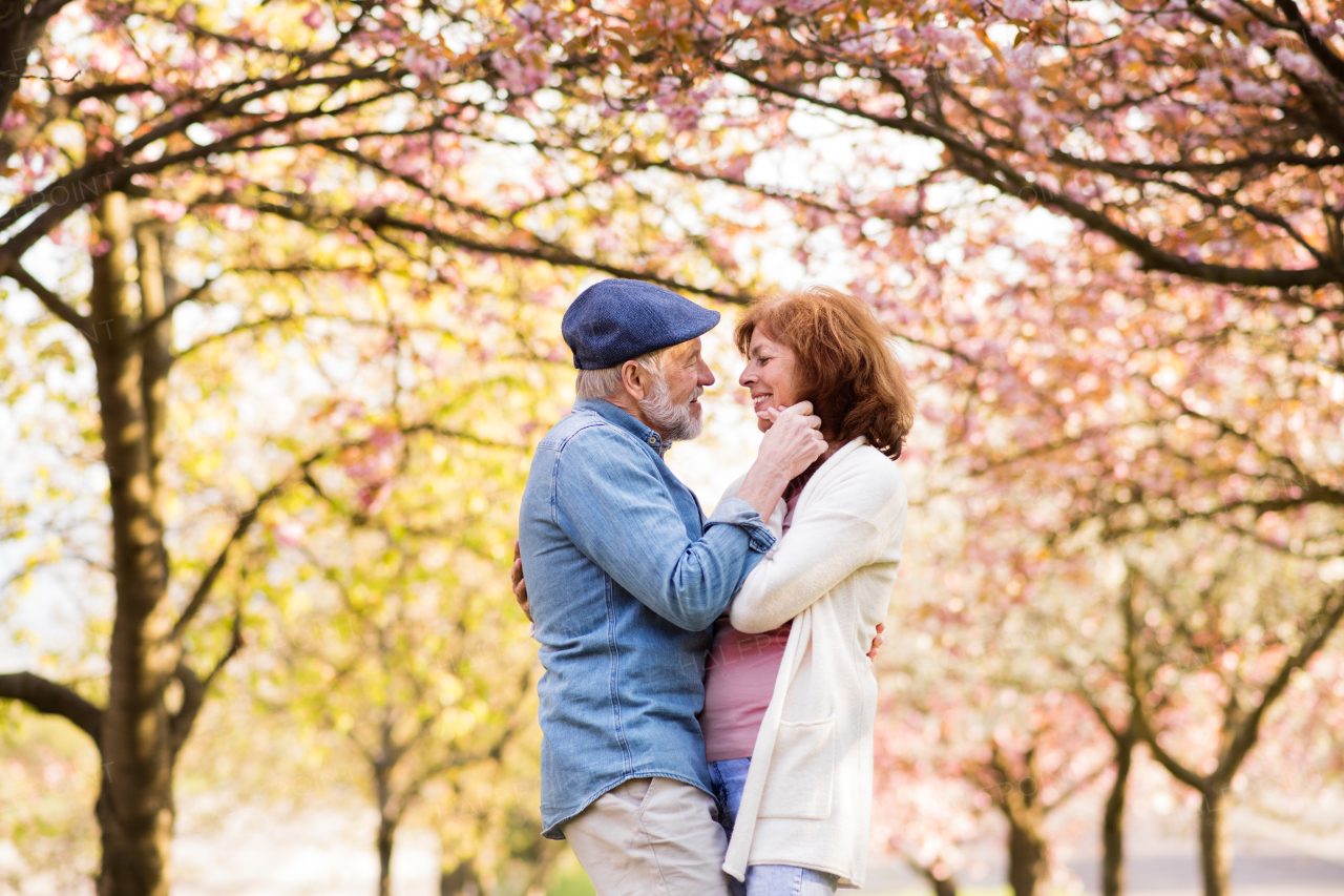 Beautiful senior couple in love on a walk outside in spring nature under blossoming trees.