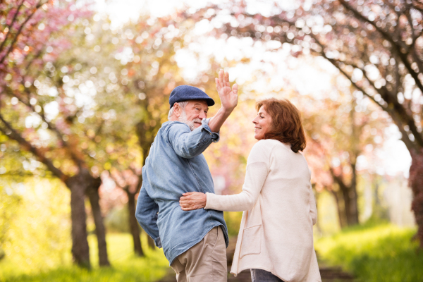 Beautiful senior couple in love on a walk outside in spring nature under blossoming trees. Rear view.