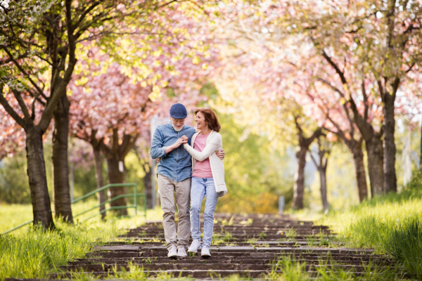 Beautiful senior couple in love on a walk outside in spring nature under blossoming trees.