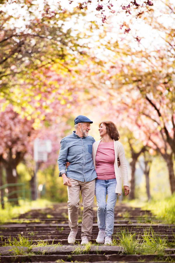 Beautiful senior couple in love on a walk outside in spring nature under blossoming trees.