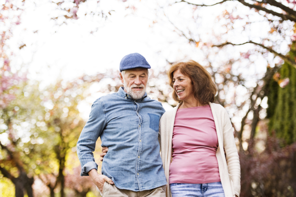 Beautiful senior couple in love on a walk outside in spring nature under blossoming trees.