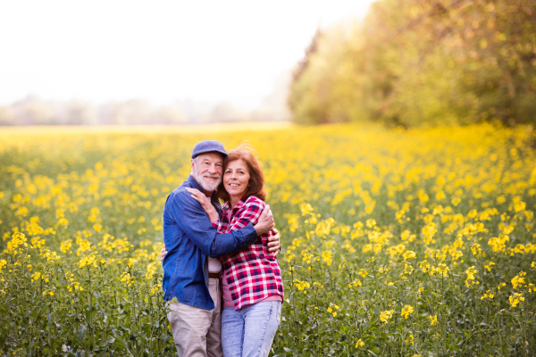 Beautiful senior couple in love on a walk outside in spring nature hugging. Oilseed rape field.