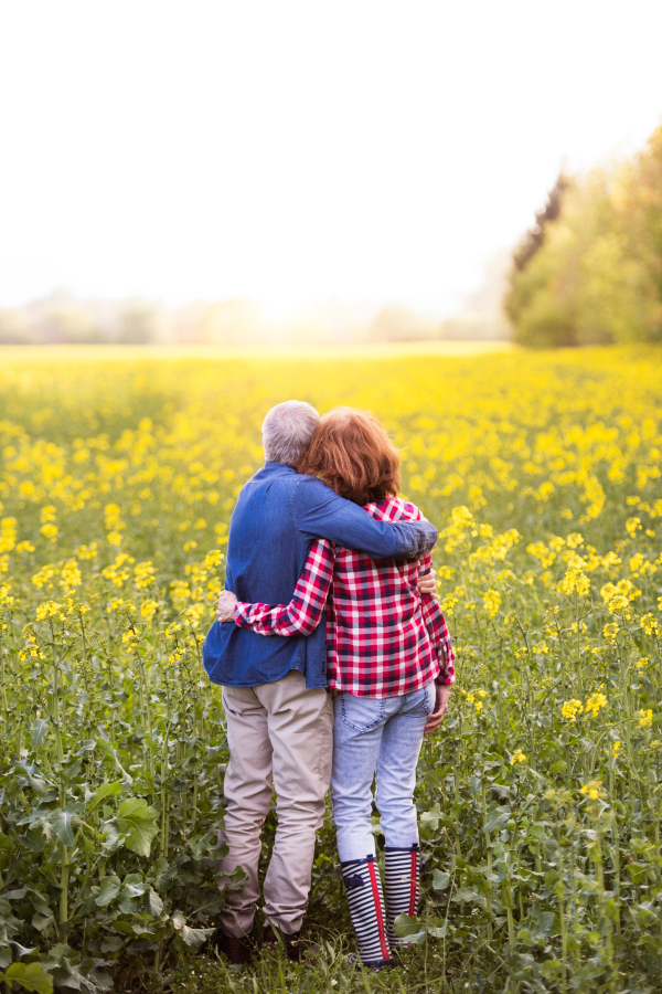 Beautiful senior couple in love on a walk outside in spring nature hugging. Oilseed rape field. Rear view.