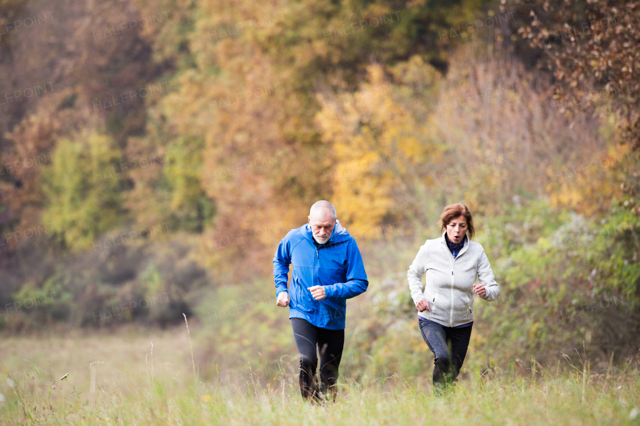 Beautiful active senior couple running together outside in sunny autumn nature