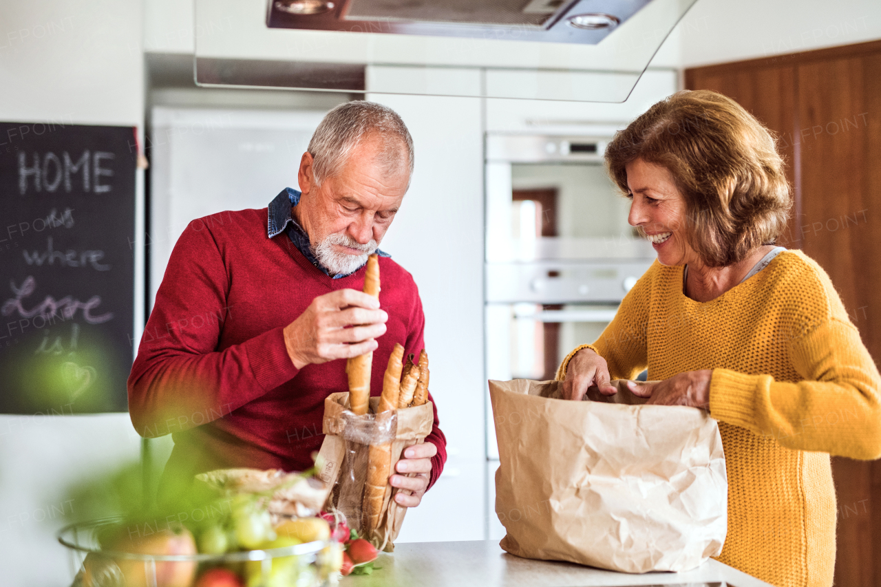 Senior couple preparing food in the kitchen. An old man and woman inside the house.