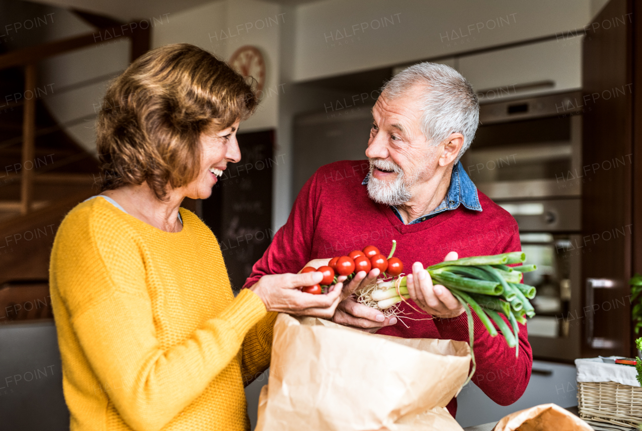 Senior couple preparing food in the kitchen. An old man and woman inside the house.