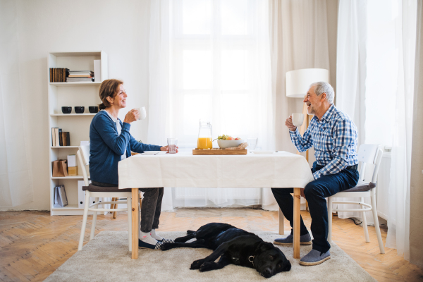 A happy senior couple with a pet dog sitting at the table at home, having breakfast.