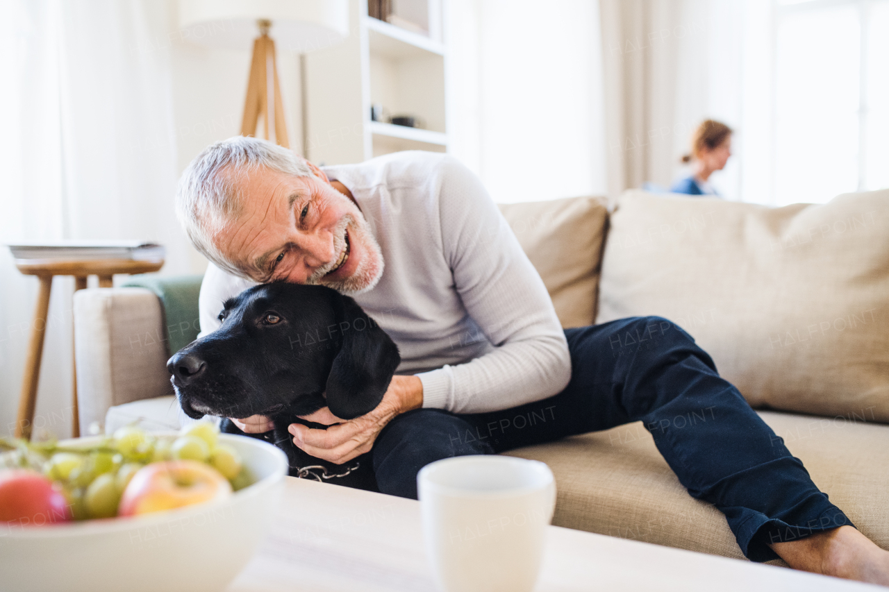 A happy senior couple indoors with a black pet dog at home, having good time.