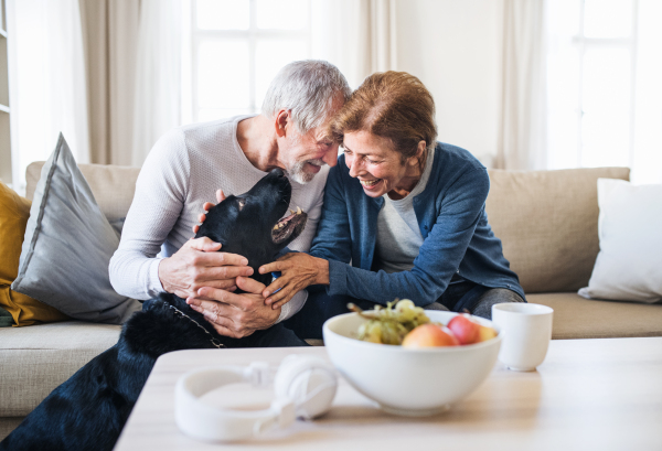 A happy senior couple with laptop and a pet dog sitting on a sofa indoors at home.