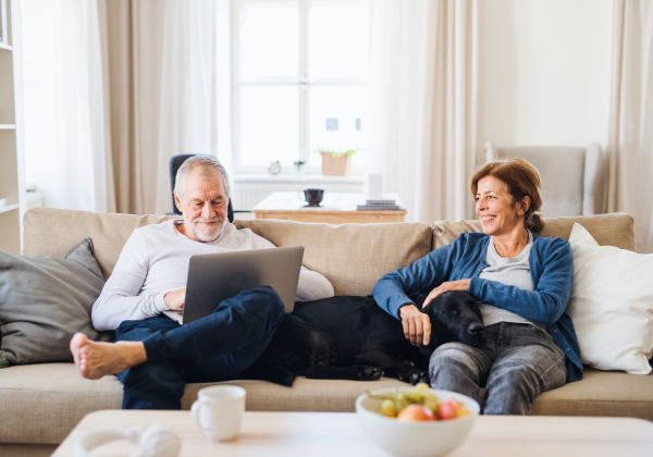 A happy senior couple with laptop and a pet dog sitting on a sofa indoors at home, using laptop.