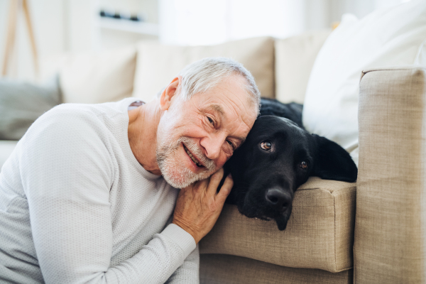 A happy senior man playing with a black pet dog indoors at home.