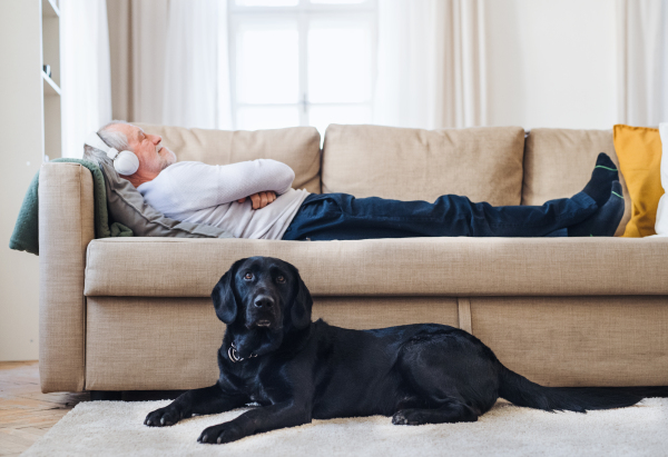 A happy senior man lying on a sofa indoors with a pet dog at home, listening to music and sleeping.