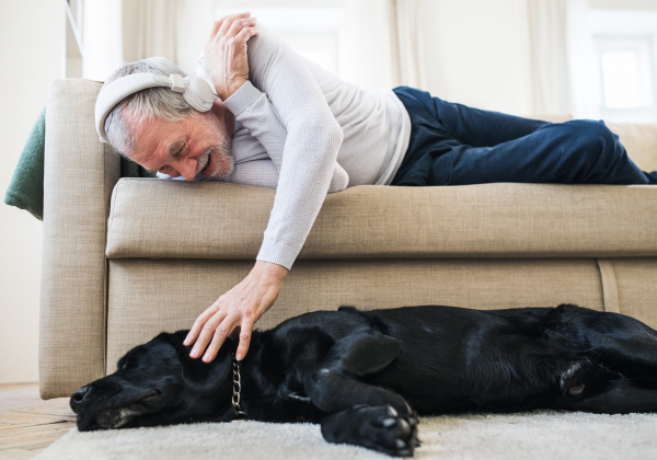 A happy senior man with headphones lying on a sofa indoors at home, playing with a pet dog while listening to music.