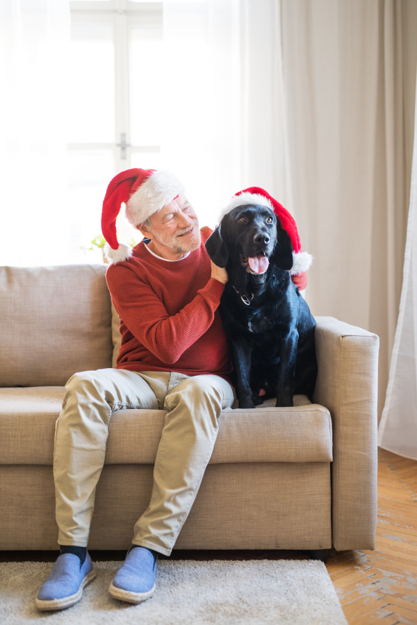 A senior man sitting on a sofa indoors with a pet dog at home, wearing santa hats. Christmas time.