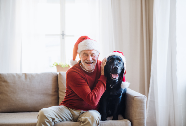 A senior man sitting on a sofa indoors with a pet dog at home, wearing Santa hats. Christmas time.