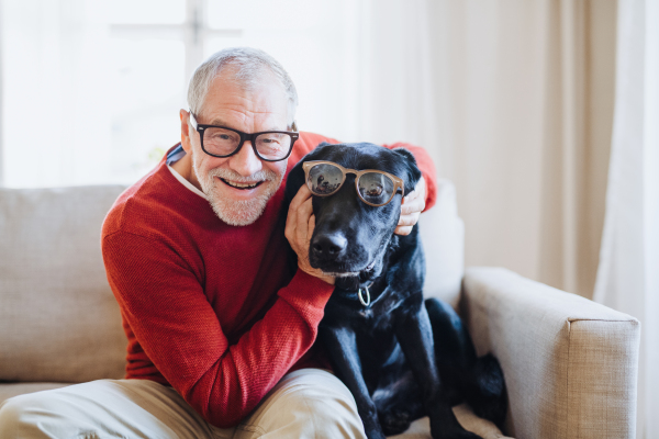 A senior man with glasses and a pet dog sitting on a sofa indoors at home, having fun.