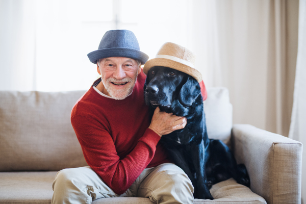 A senior man and a pet dog with hats sitting on a sofa indoors at home, having fun.