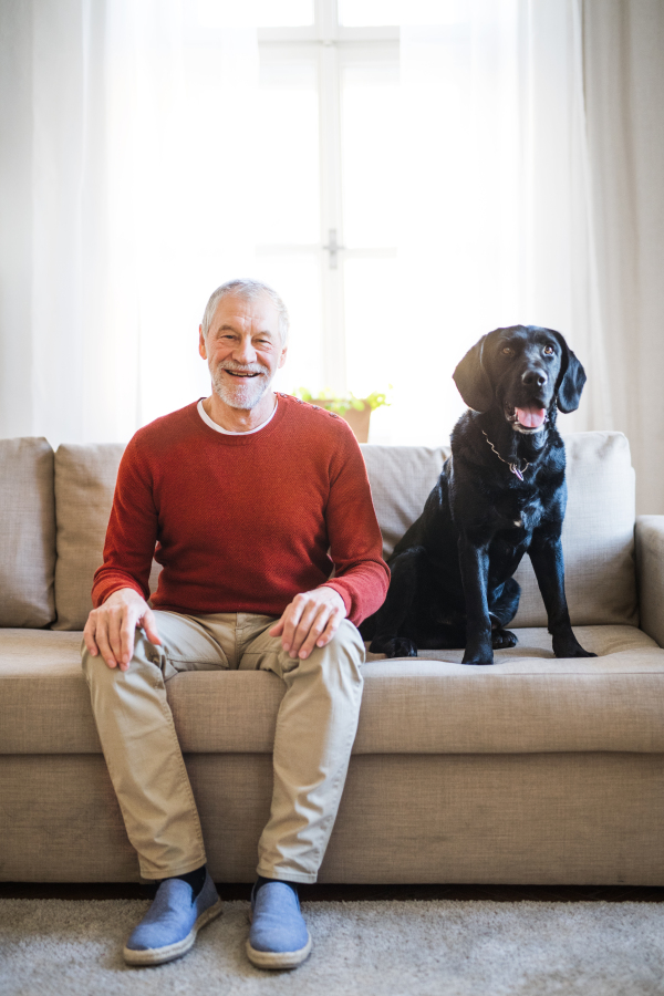 A senior man sitting on a sofa indoors at home, looking at camera.