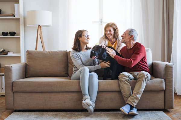 A senior couple with a teenage girl sitting on a sofa with pet dog at home.