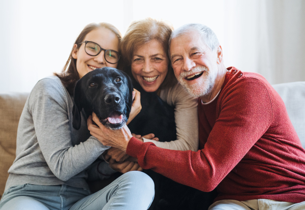 A senior couple with a teenage girl sitting on a sofa with pet dog at home.