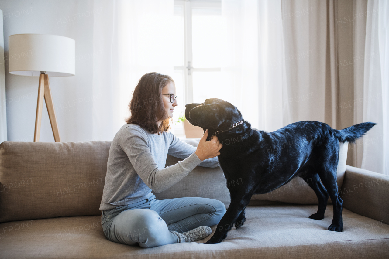 Teenage girl sitting on a sofa indoors, playing with a black pet dog.