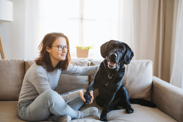 Teenage girl sitting on a sofa indoors, playing with a black pet dog.