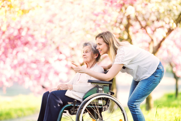 Elderly grandmother in wheelchair with an adult granddaughter outside in spring nature.