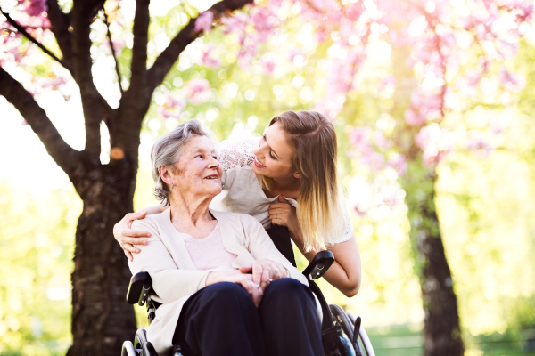 Elderly grandmother in wheelchair with an adult granddaughter outside in spring nature.