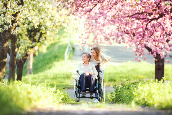 Elderly grandmother in wheelchair with an adult granddaughter outside in spring nature.