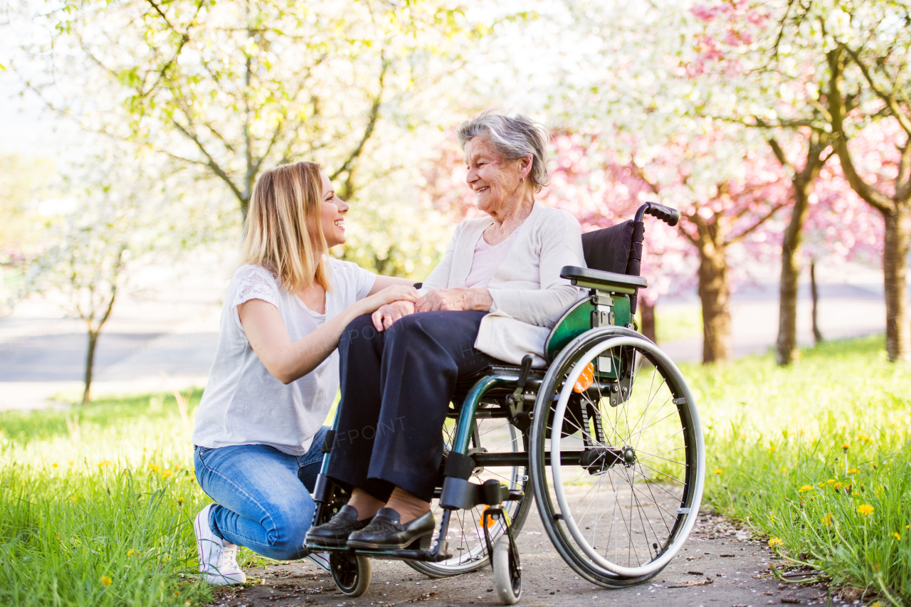 Elderly grandmother in wheelchair with an adult granddaughter outside in spring nature.