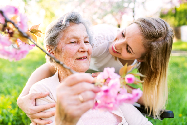 Elderly grandmother in wheelchair with an adult granddaughter outside in spring nature.