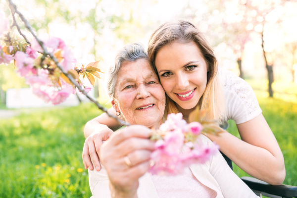 Elderly grandmother in wheelchair with an adult granddaughter outside in spring nature.