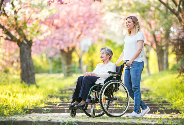 Elderly grandmother in wheelchair with an adult granddaughter on a walk outside in spring nature.