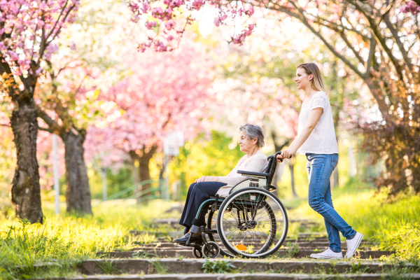 Elderly grandmother in wheelchair with an adult granddaughter on a walk outside in spring nature.