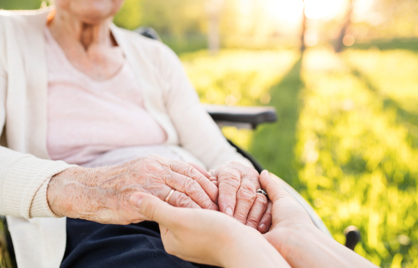 Unrecognizable elderly grandmother in wheelchair with an adult granddaughter outside in spring nature, holding hands.