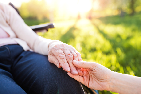 Unrecognizable granddaughter holding hand of an elderly grandmother in wheelchair in spring nature.