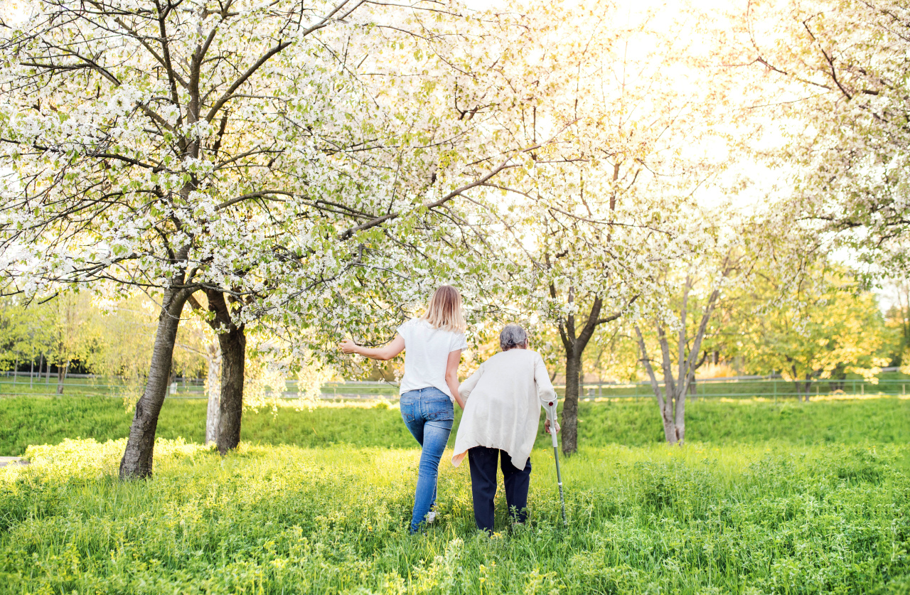 Elderly grandmother with forearm crutch and an adult granddaughter walking outside in spring nature. Rear view.