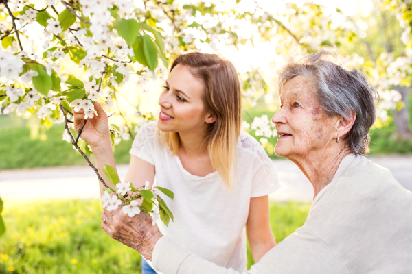 Happy elderly grandmother and an adult granddaughter standing under tree outside in spring nature.